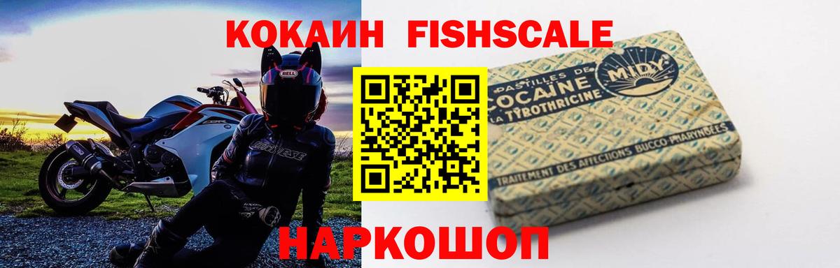 Новый Уренгой  COCAIN Fish Scale  Вход с VPN 