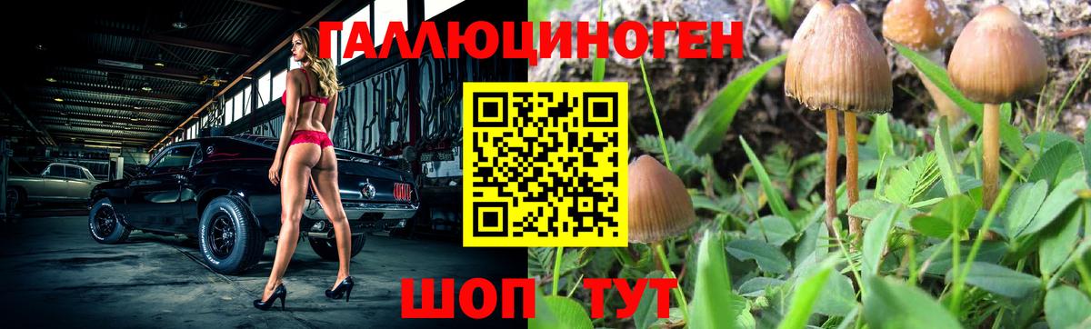 Псилоцибиновые грибы MAGIC MUSHROOMS Новый Уренгой