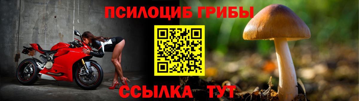 Псилоцибиновые грибы мухоморы  Вход с VPN  Новый Уренгой  Псилоцибиновые грибы Magic Shrooms 